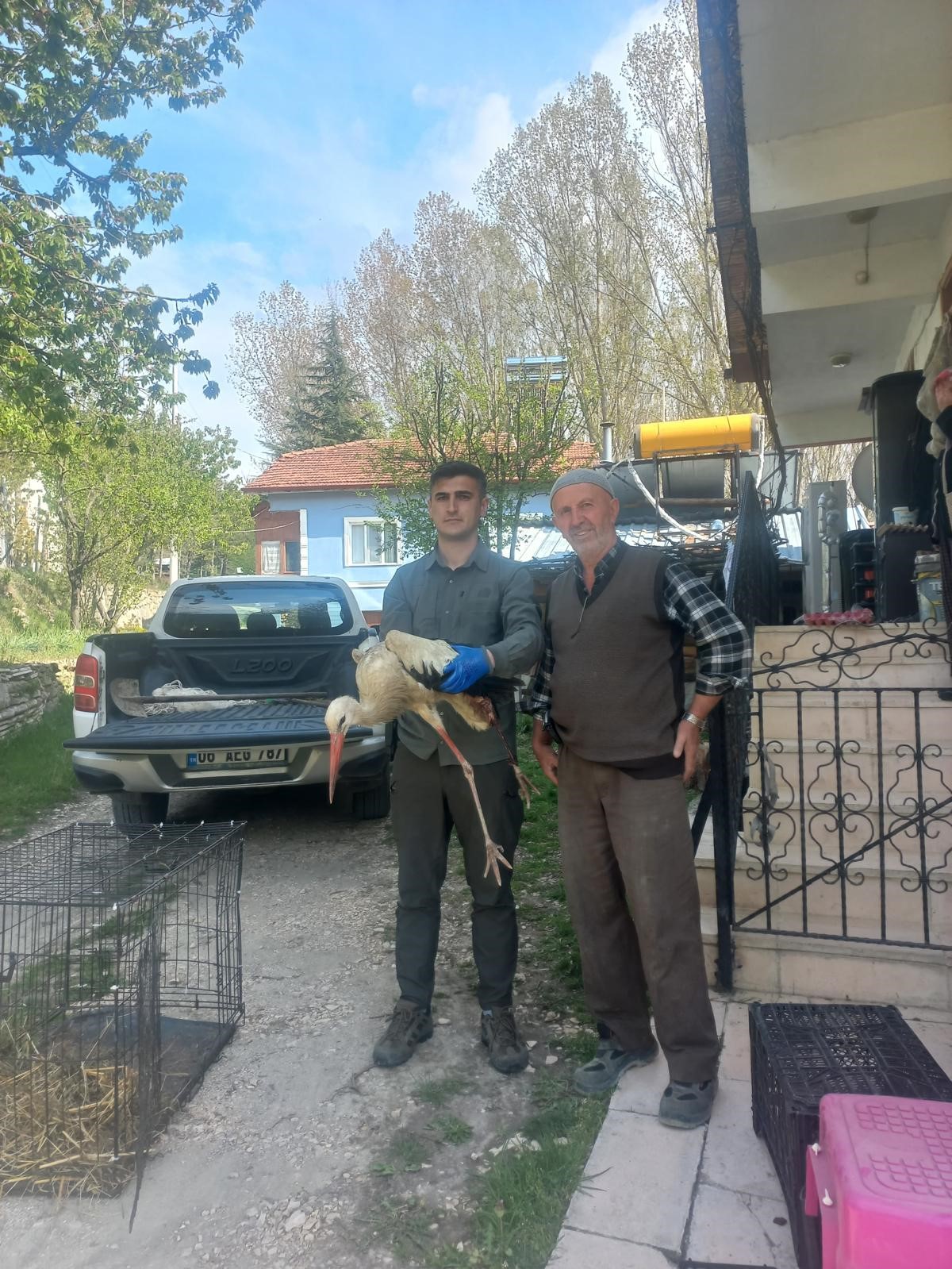 Bolu’da yaralı leylek tedavi altına alındı
