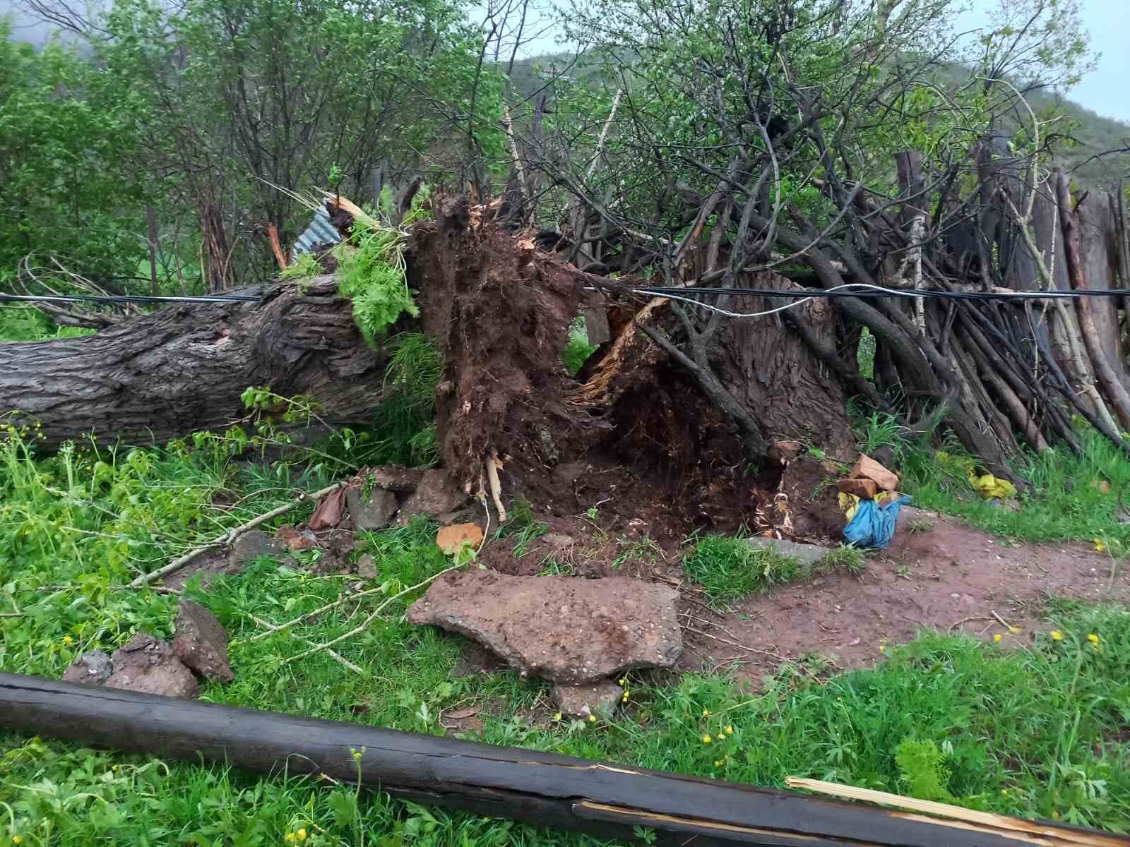 Tunceli’de fırtına nedeniyle hasar tespitine başlandı
