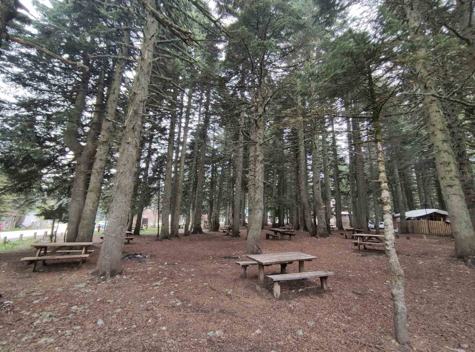 Uludağ’da 580 liraya 5 yıldızlı tatil başlıyor