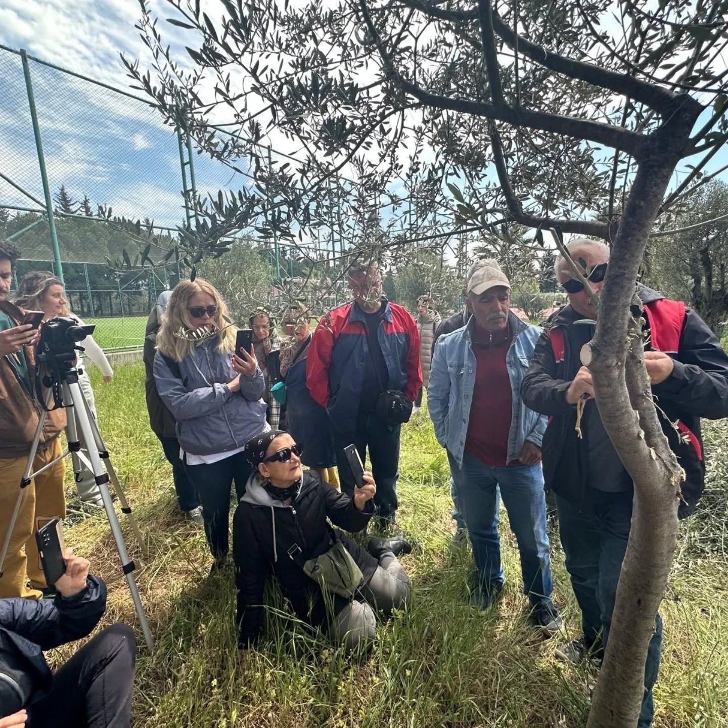Edremit MYO’da zeytin aşılama eğitimi