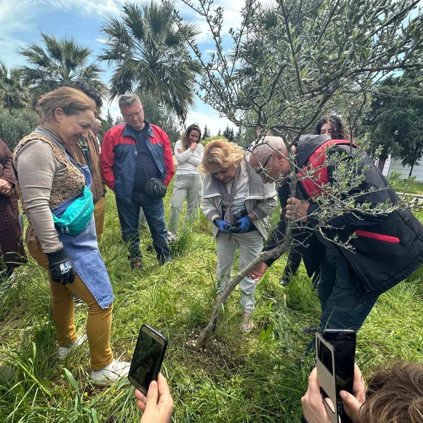 Edremit MYO’da zeytin aşılama eğitimi