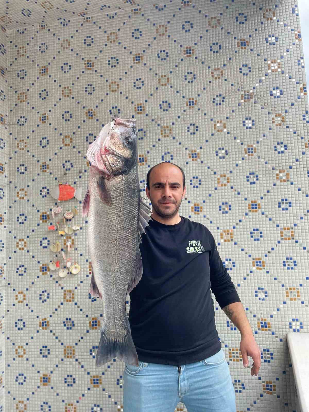 Türkeli’de 7,5 kiloluk dev levrek yakalandı