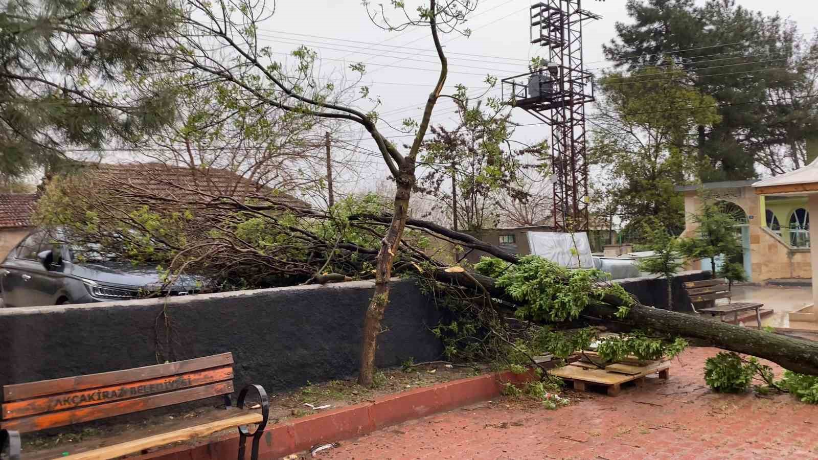 Elazığ&rsquo;da fırtına etkili oldu: Ağa&ccedil;, ara&ccedil;ların &uuml;zerine devrildi
