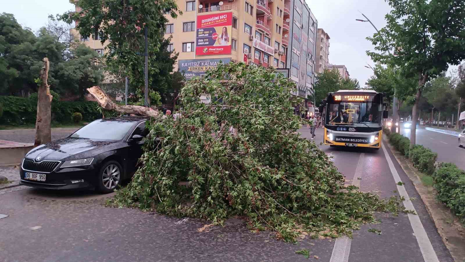 Batman’da şiddetli rüzgarın devirdiği ağaç park halindeki aracın üzerine düştü