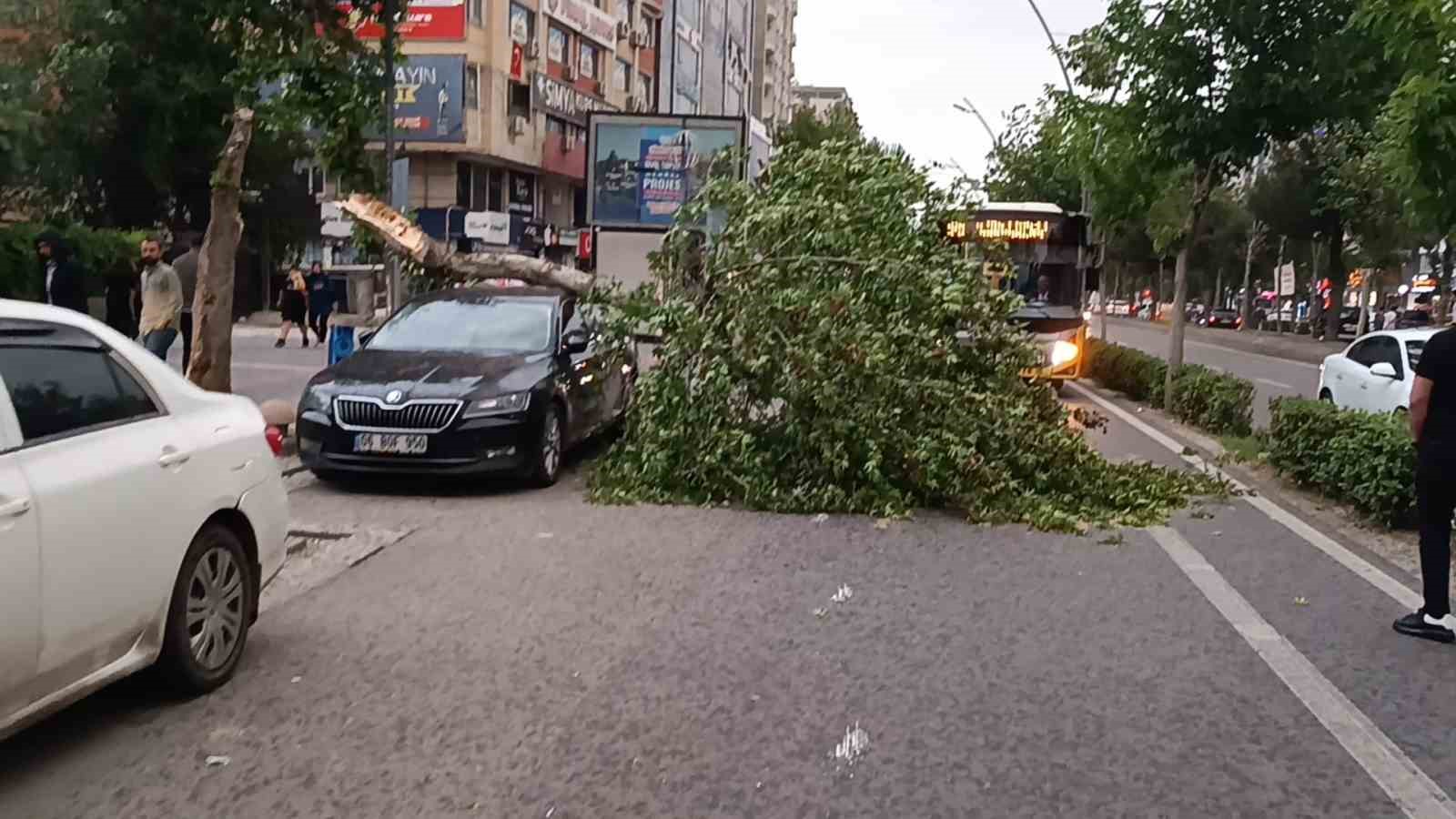 Batman&rsquo;da şiddetli r&uuml;zgarın devirdiği ağa&ccedil; park halindeki aracın &uuml;zerine d&uuml;şt&uuml;
