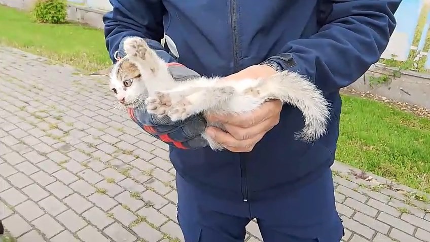 İtfaiye ekiplerinin kedi kurtarma operasyonu kamerada