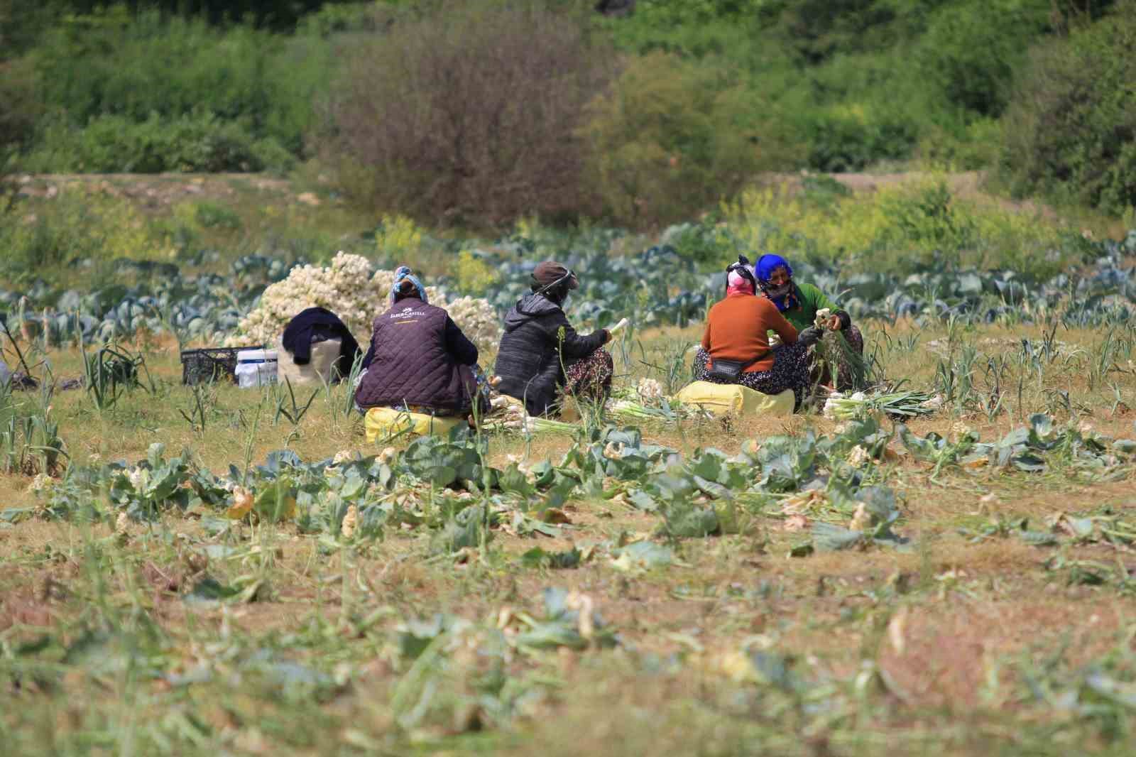 DSİ göl havzasından 