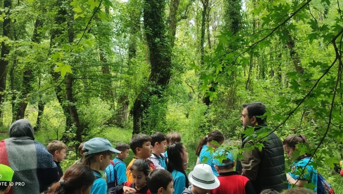 Köyceğiz’de öğrenciler Sığla ormanlarında inceleme yaptı