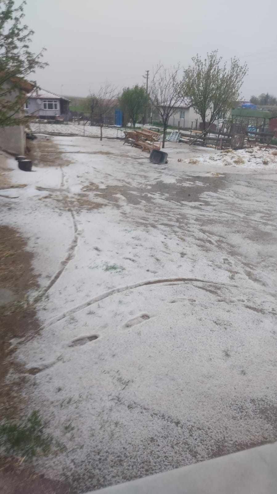 Seyitgazi 20 dakikada beyaza b&uuml;r&uuml;nd&uuml;
