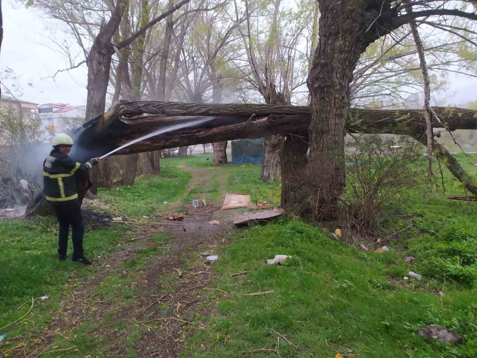 Bayburt’ta yıldırım düşen ağaç ikiye bölündü