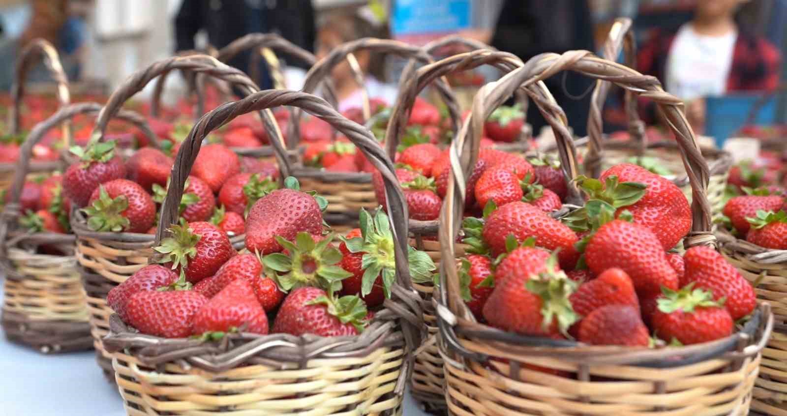 Emiralem Çilek Festivali için geri sayım başladı