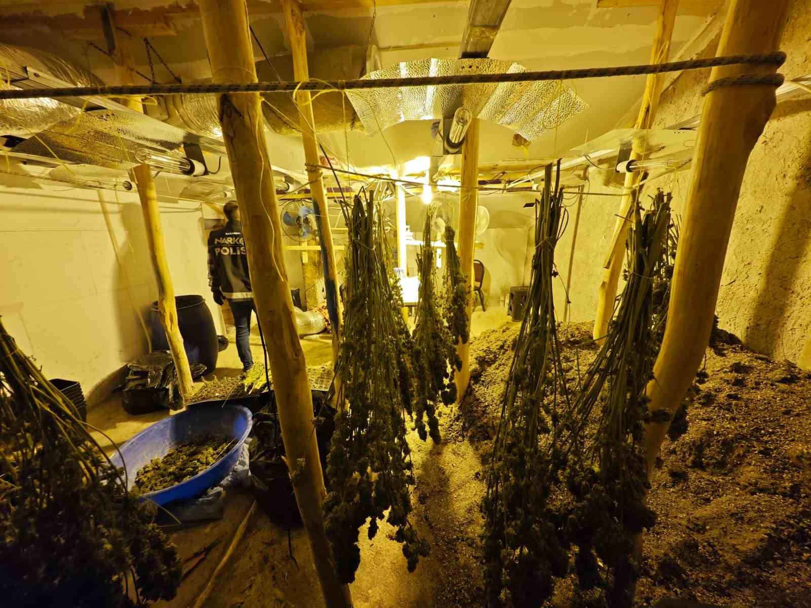 Kenevir yetiştirilen gizli seraya polis baskını: 1 tutuklama
