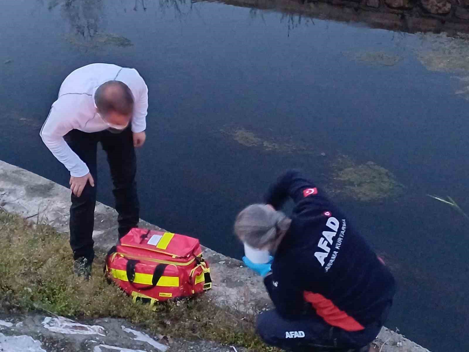 Balık ve kaz ölümleri sonrası numune alındı