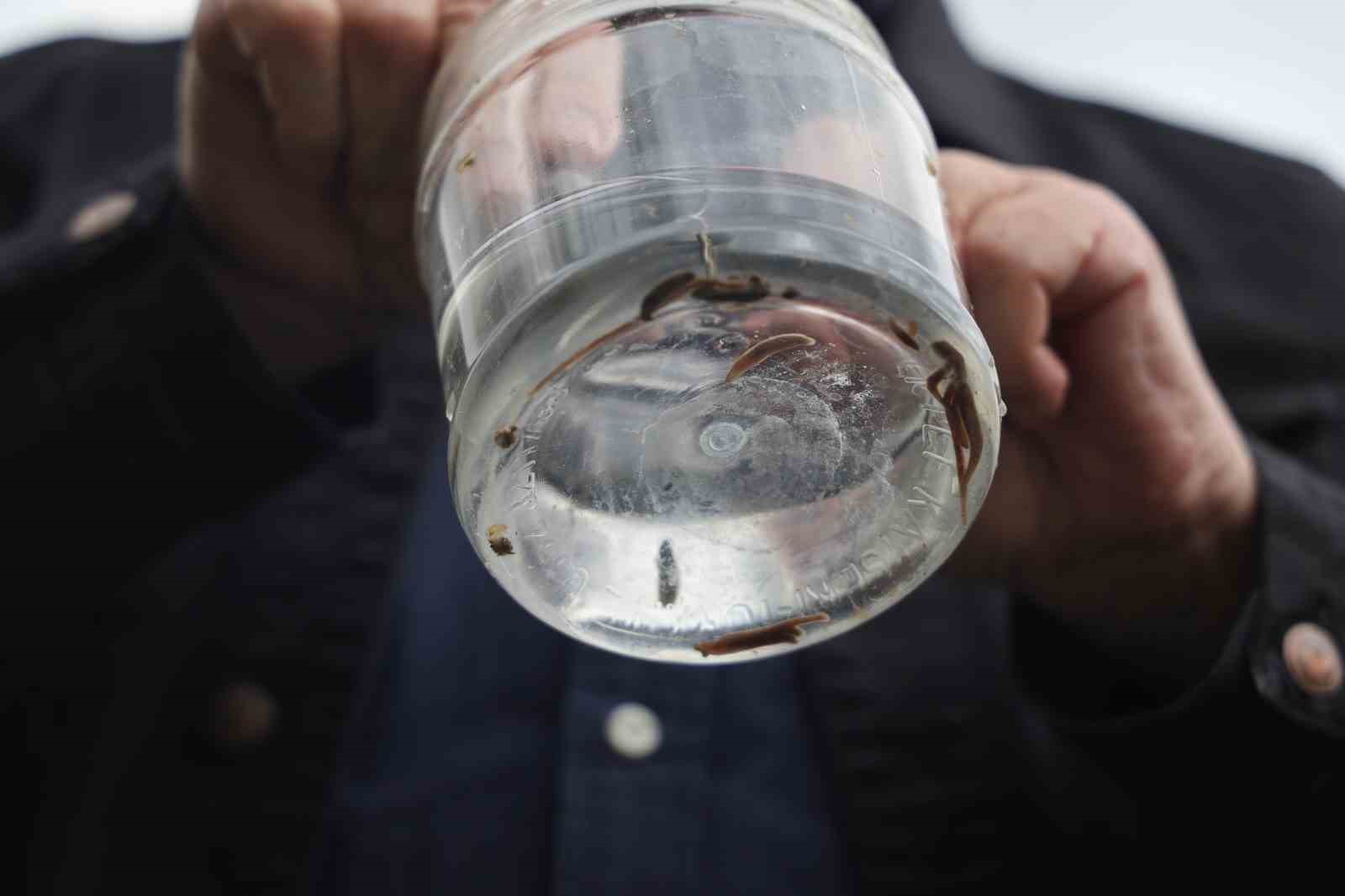 Fırat &Uuml;niversitesinden bilim d&uuml;nyasına katkı: Elazığ&rsquo;da yeni s&uuml;l&uuml;k t&uuml;rleri keşfedildi
