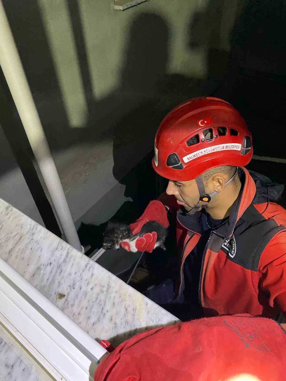 Apartman boşluğuna düşen yavru kedi itfaiye ekiplerince kurtarıldı