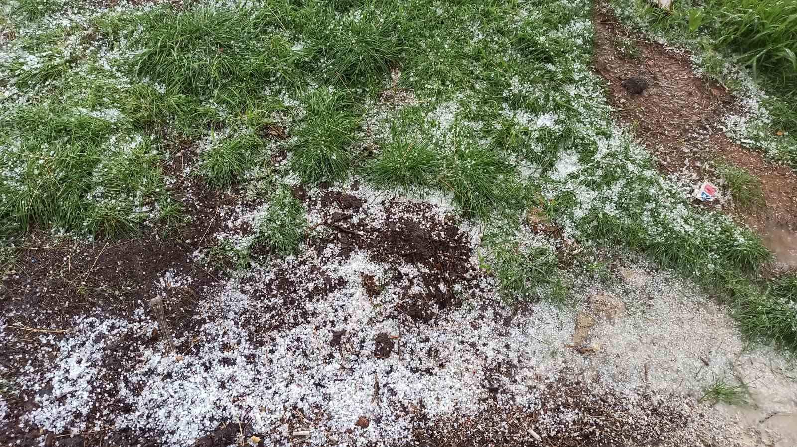 Afşin’de dolu tarım arazilerine zarar verdi