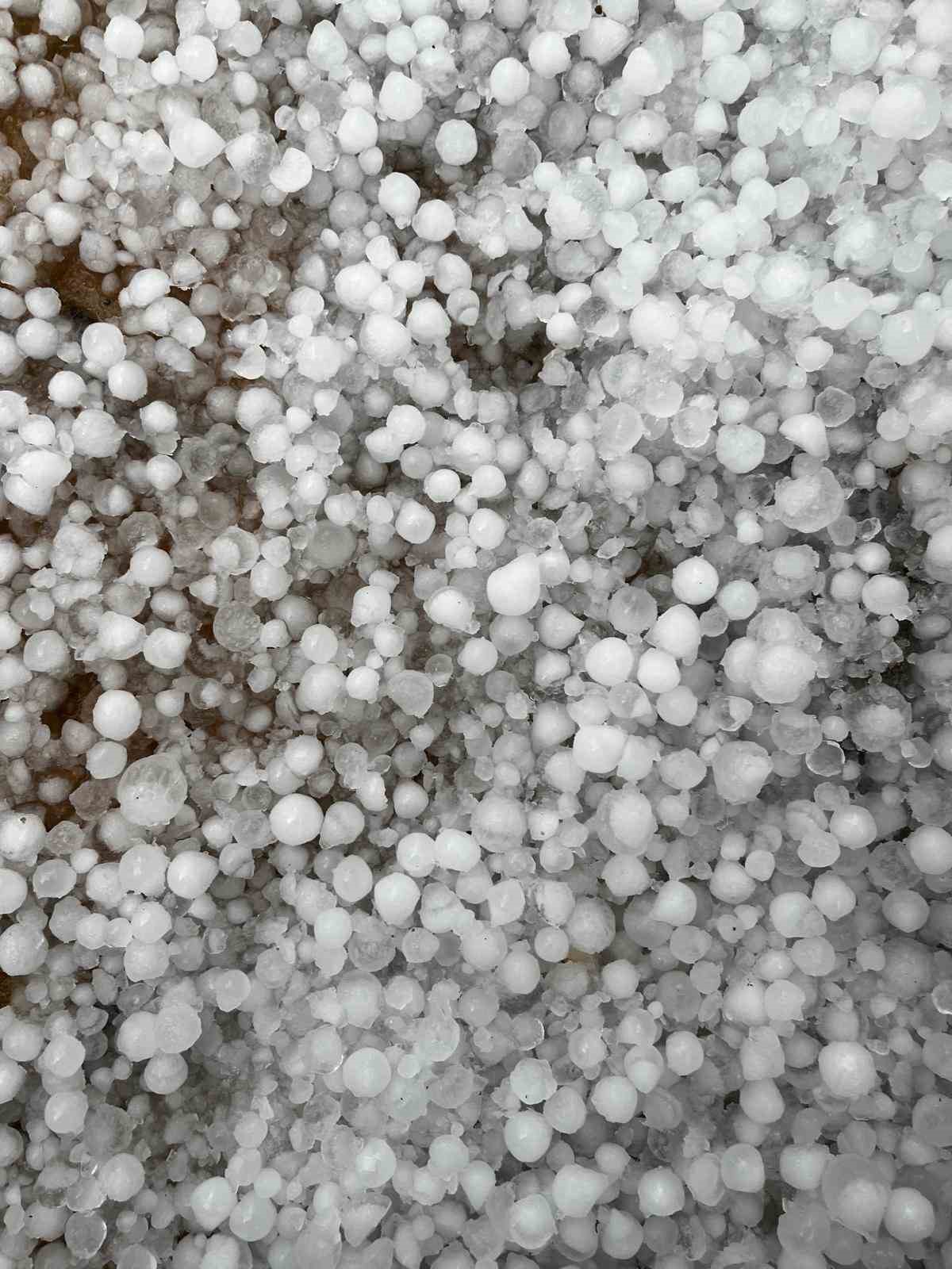 Afşin&rsquo;de dolu tarım arazilerine zarar verdi
