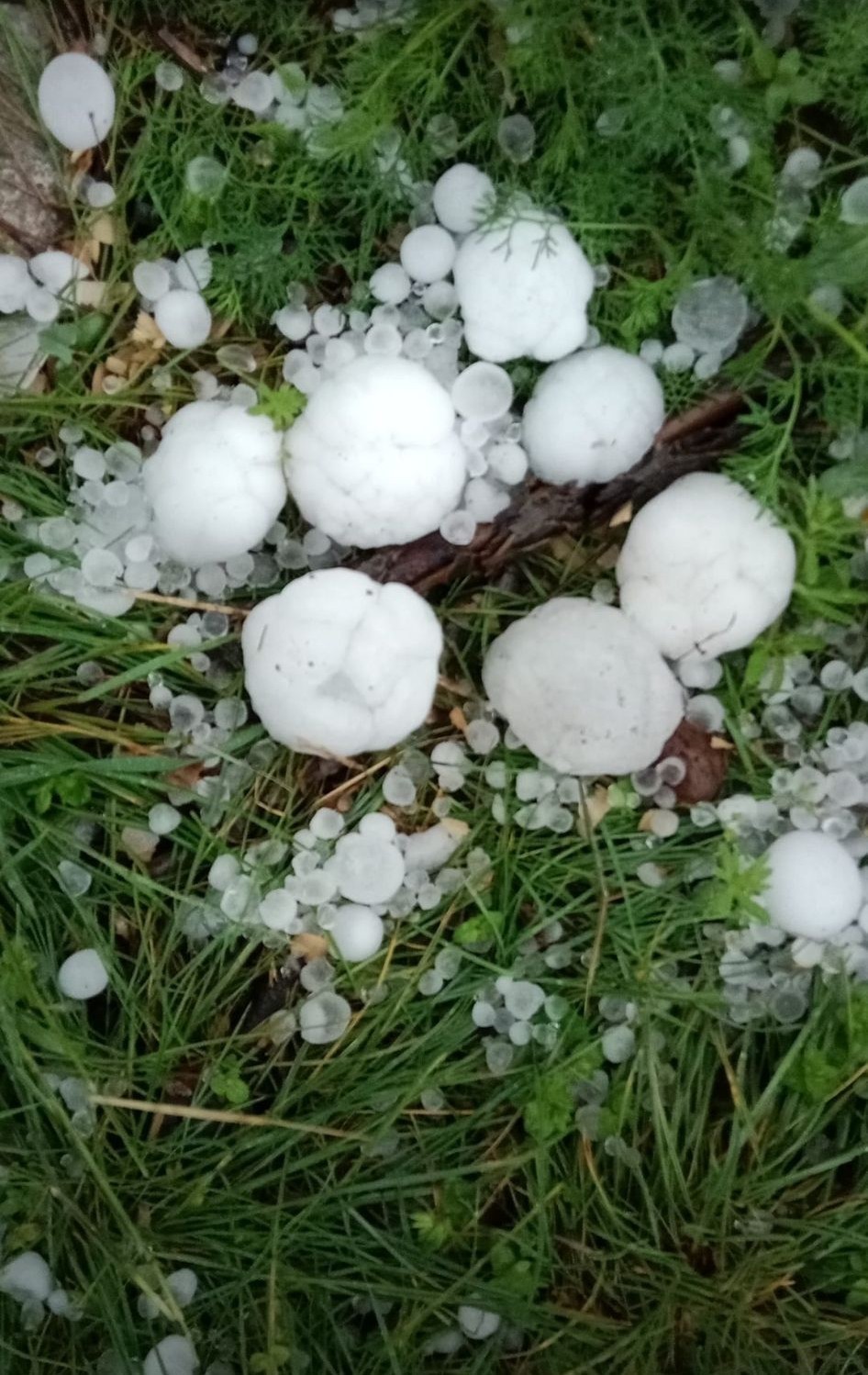 Kahramanmaraş&rsquo;a ceviz b&uuml;y&uuml;kl&uuml;ğ&uuml;nde dolu yağdı

