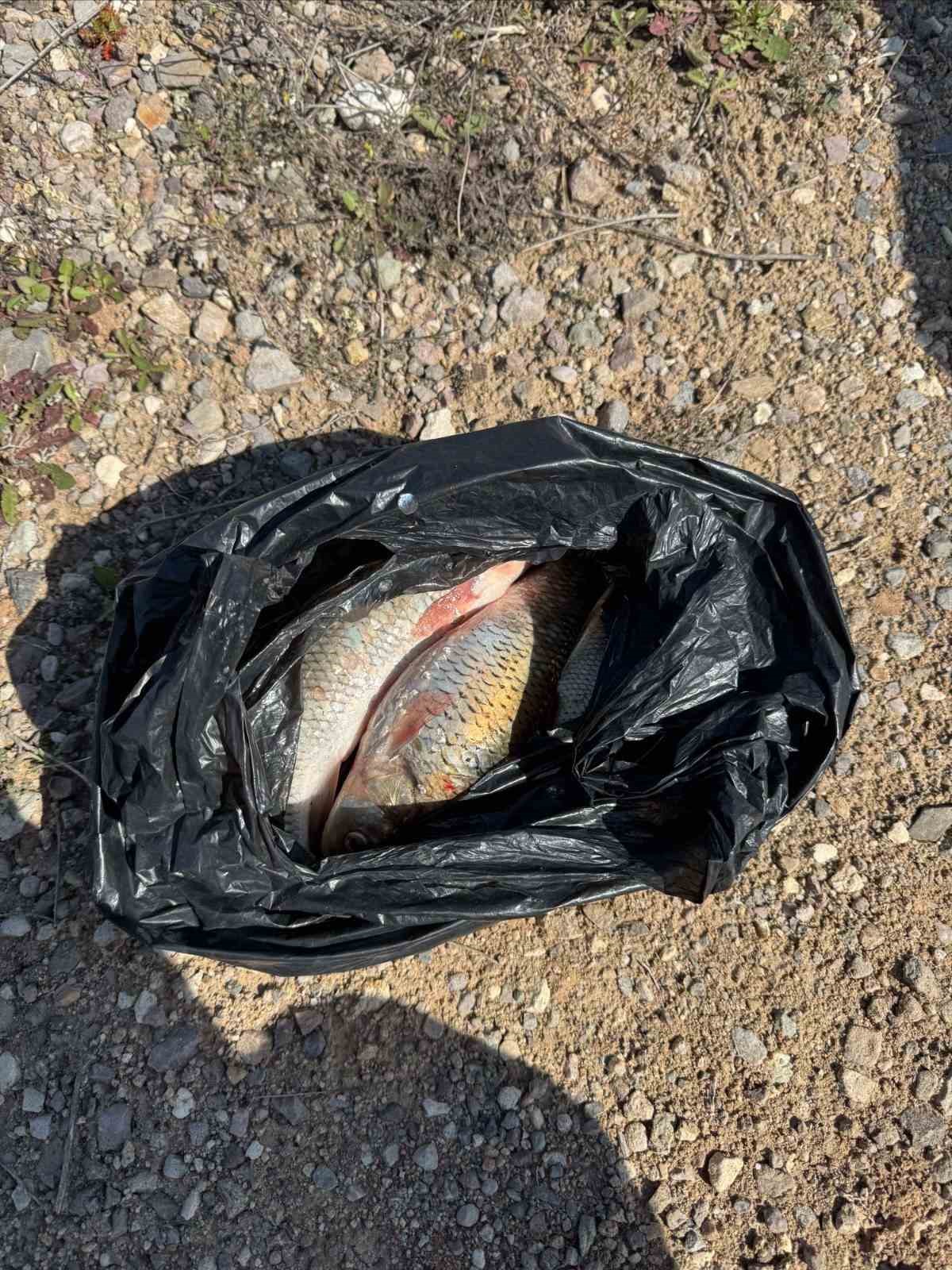 Kaçak Balık avı yapan 2 kişi yakalandı