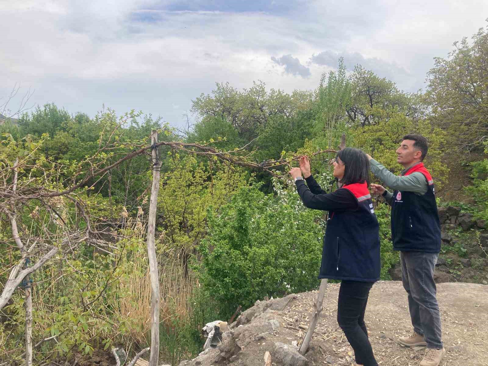 Kars’ta hasat öncesi pestisit kullanımı eğitimi