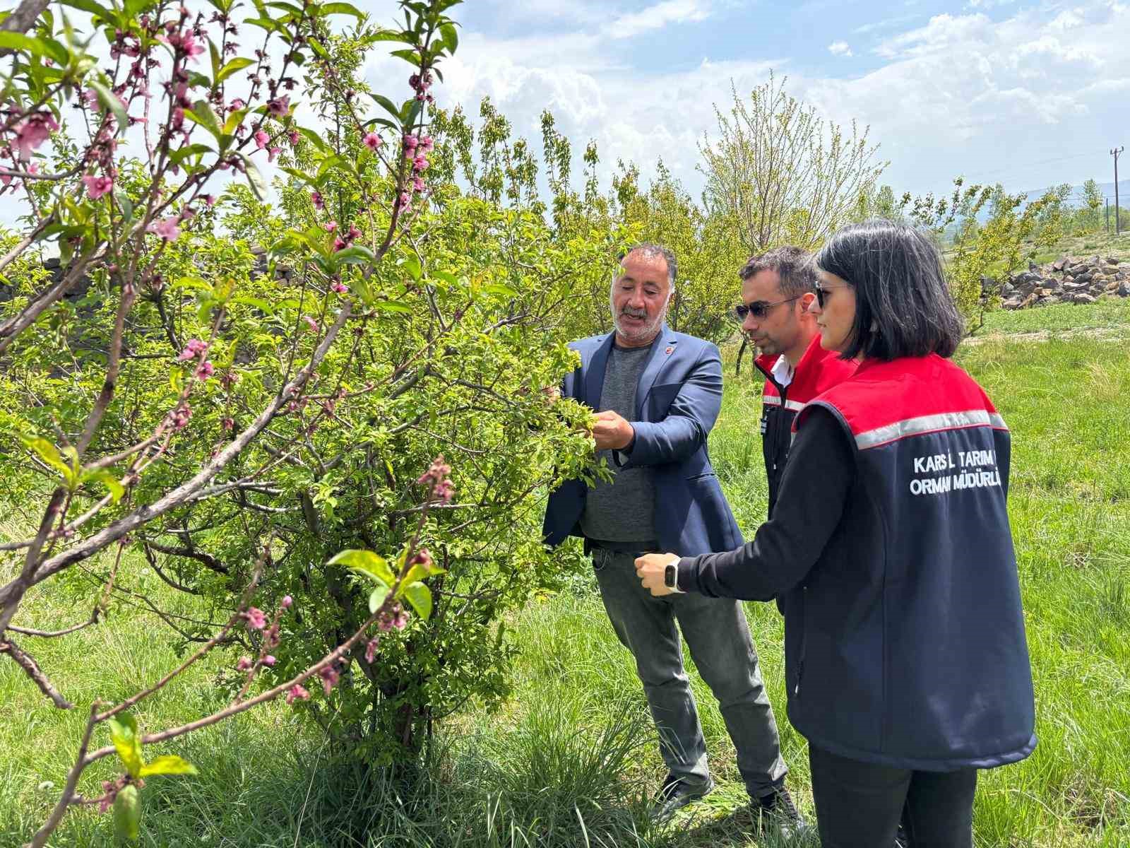 Kars&rsquo;ta hasat &ouml;ncesi pestisit kullanımı eğitimi
