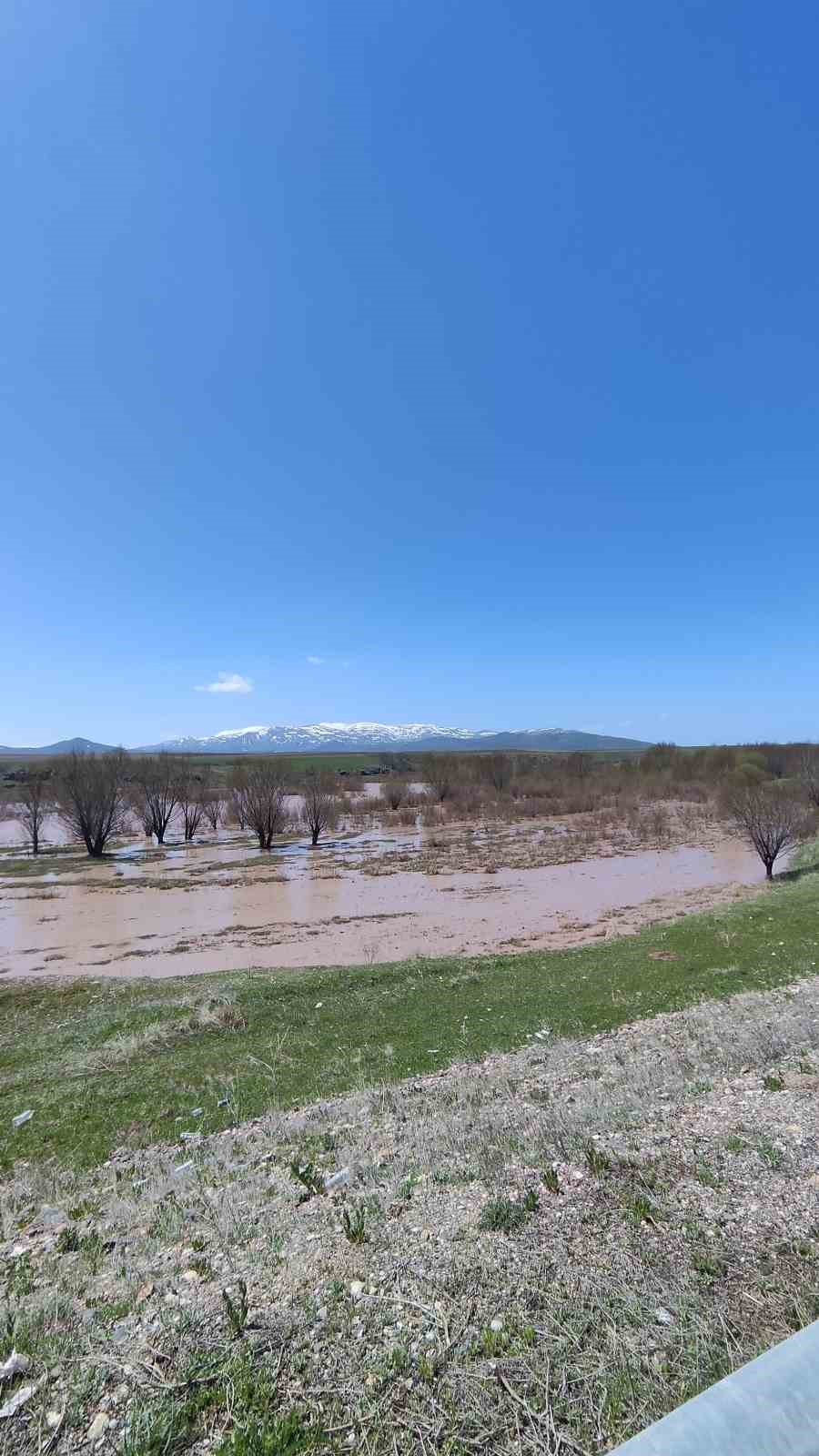 Ağrı&rsquo;da Murat Nehri taştı araziler sular altında kaldı
