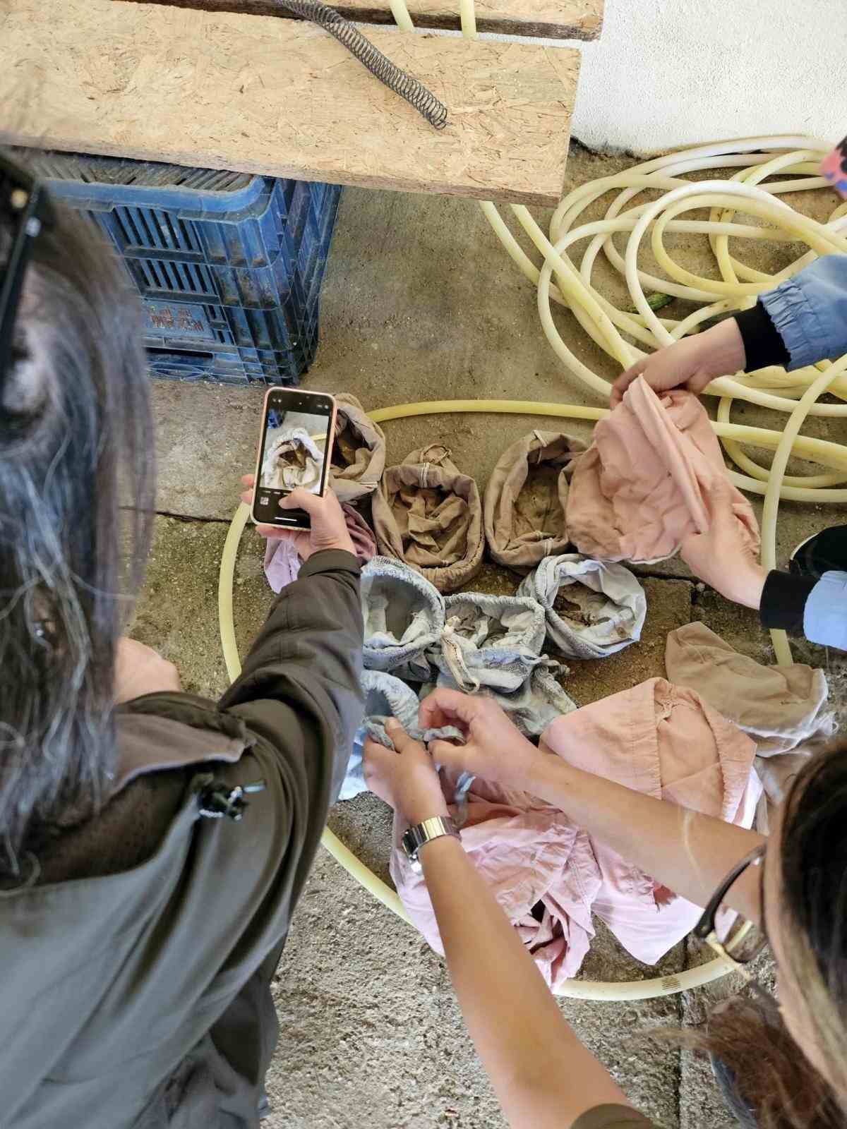 Kuşlar &uuml;zerinde izinsiz araştırma yapan 4 şahıs yakalandı
