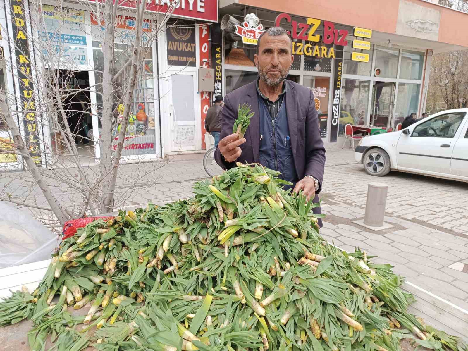 Diyadin&rsquo;de baharın m&uuml;jdecisi ışkın ve &ccedil;iriş tezgahları s&uuml;sl&uuml;yor

