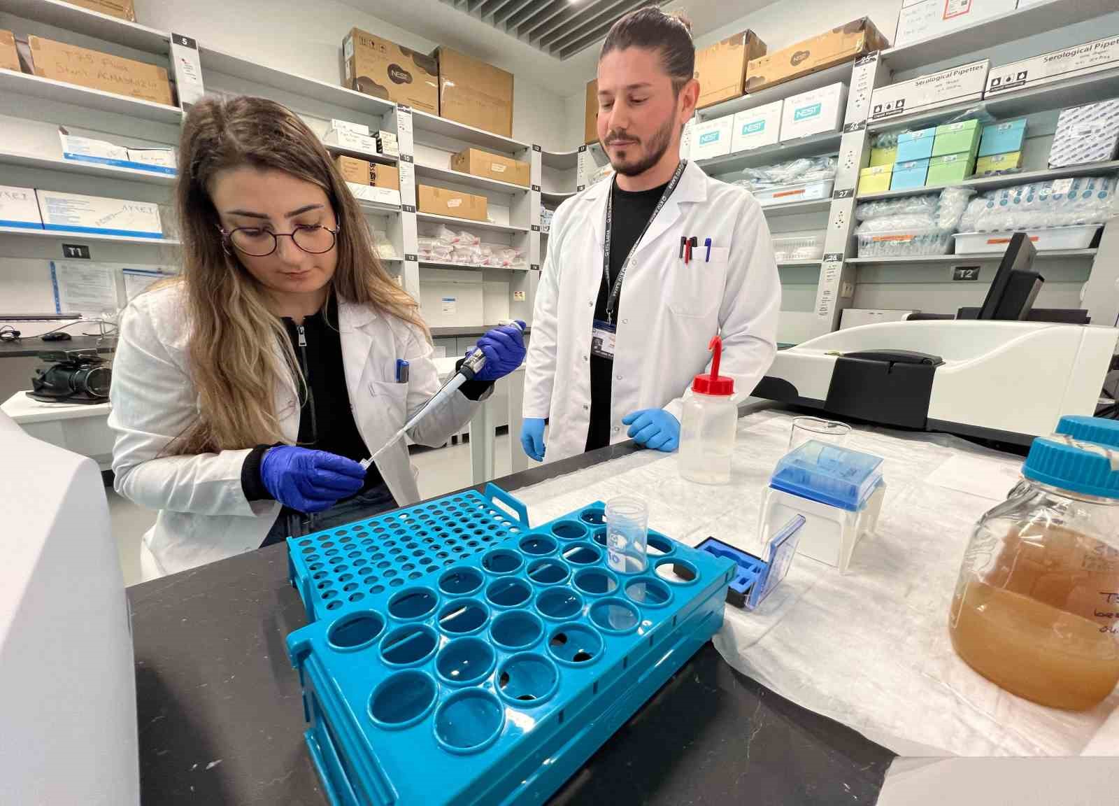 Trabzon’da akrep zehri üzerine çalışmalar yürütülüyor