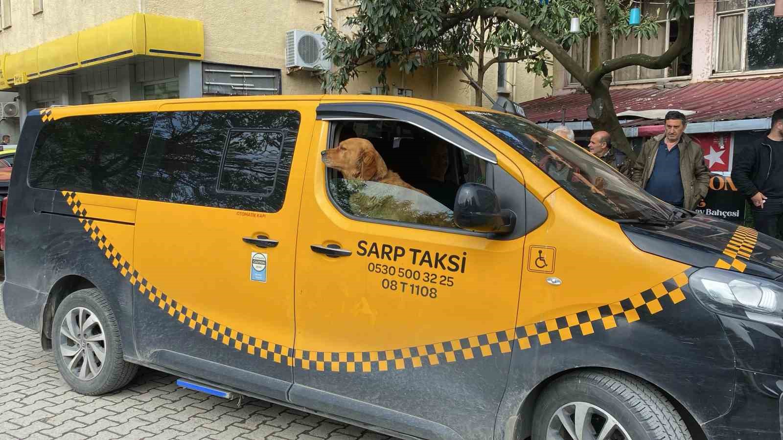 Artvin’de sıra dışı taksi deneyimi