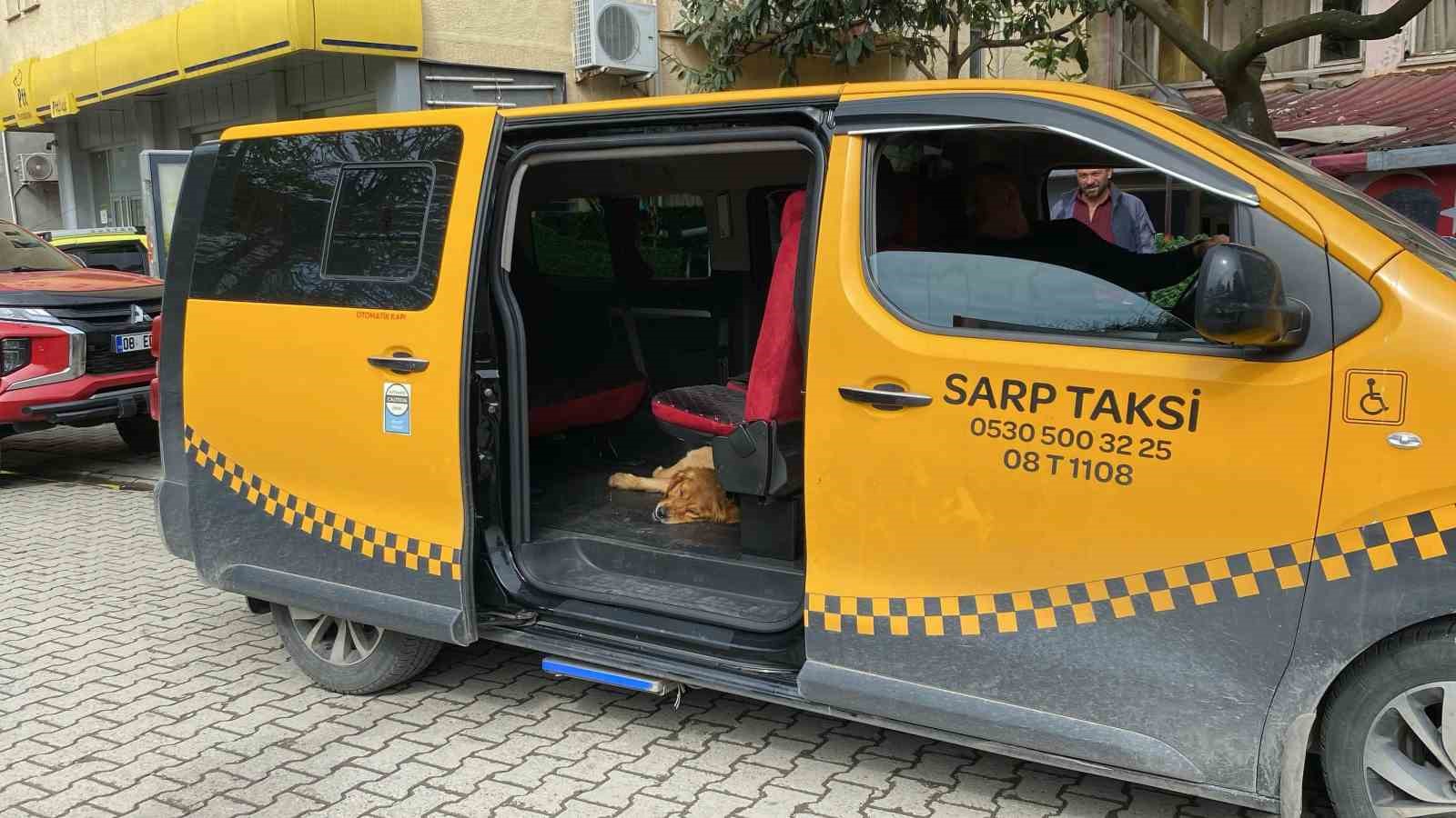 Artvin’de sıra dışı taksi deneyimi