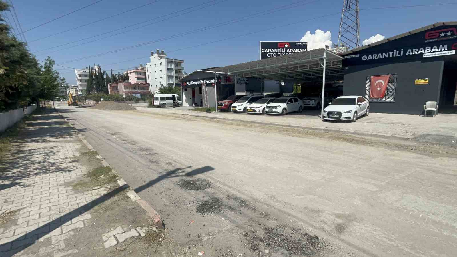 Telef olan köpeğin başında yürek burkan çaresizlik