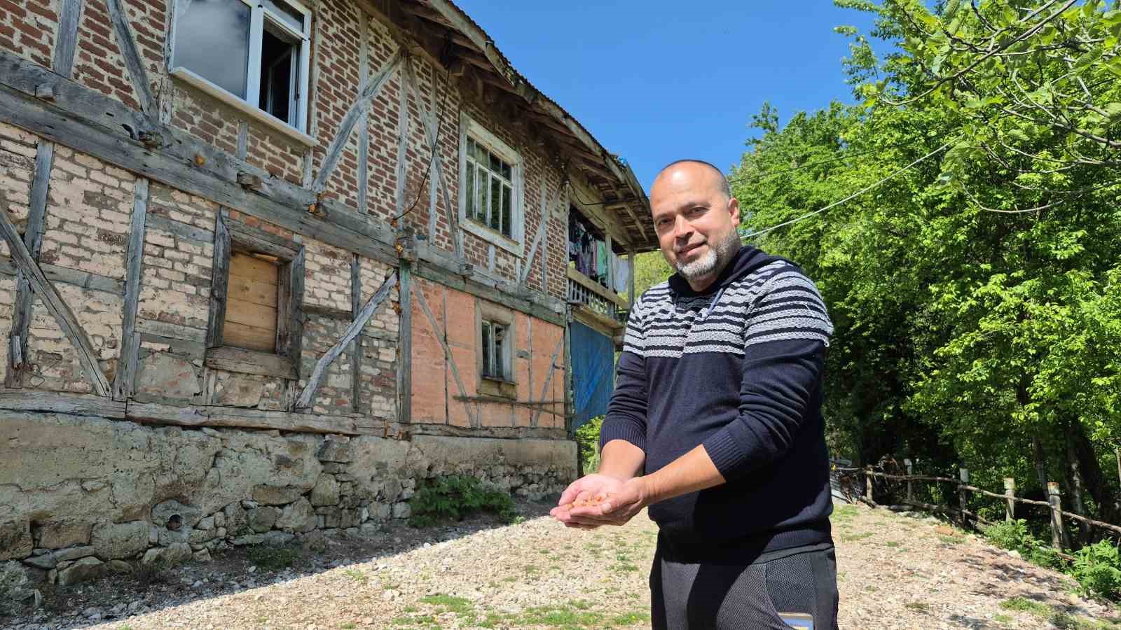 Bartın’da sincap eve yuva yaptı