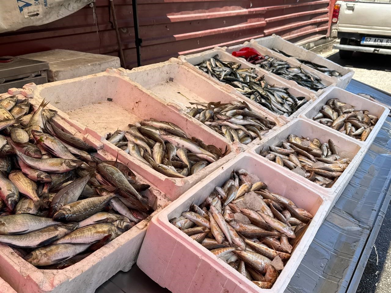 Av sezonu sona ermesine rağmen Zonguldak’ta tezgahlar şenlendi