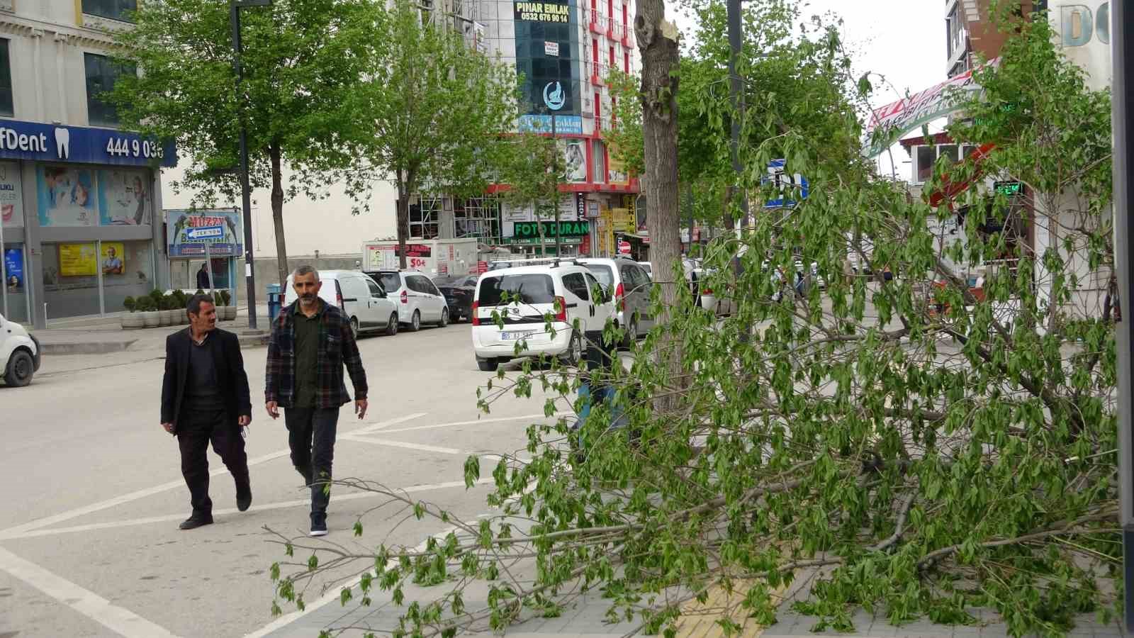 Van’da etkili olan fırtına çatıları uçurdu, ağaçları devirdi