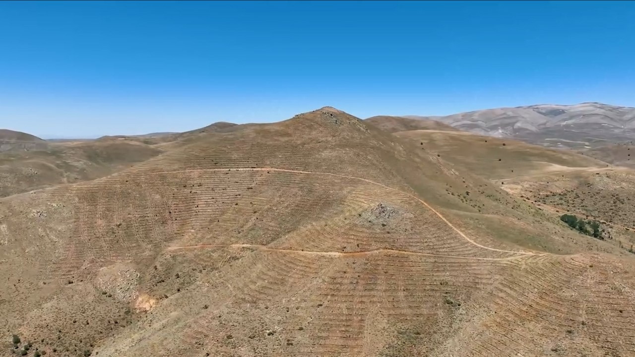&Ccedil;amardı&rsquo;da 227 hektarlık alanda ağa&ccedil;landırma yapıldı
