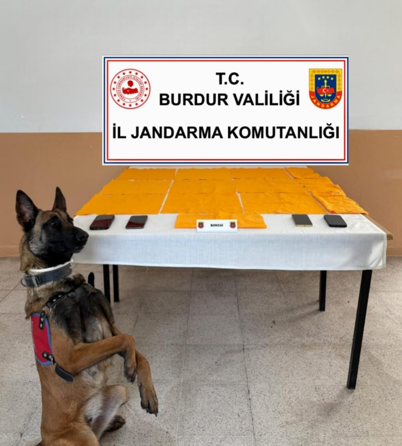 Jandarma ekiplerinden uyuşturucu şebekesine darbe: 13 ş&uuml;pheli tutuklandı
