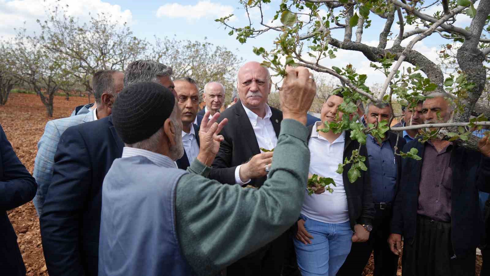 TZOB Genel Başkanı Bayraktar, Gaziantep’te dondan etkilenen bahçeleri inceledi
