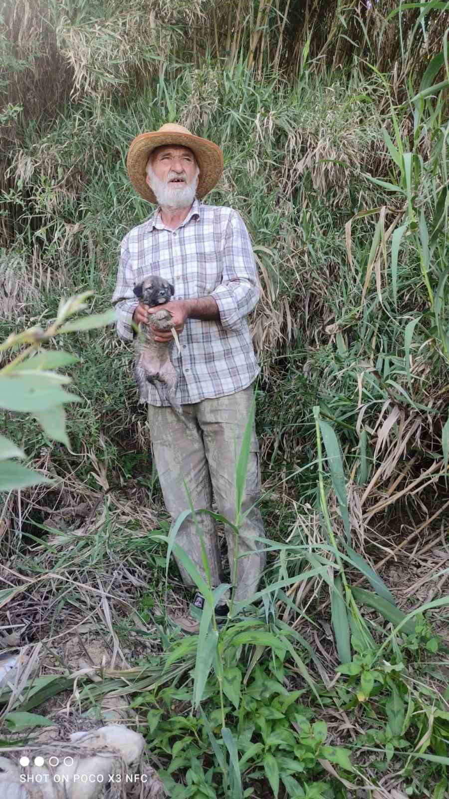 Su kenarında mahsur kalan k&ouml;peği itfaiye kurtardı
