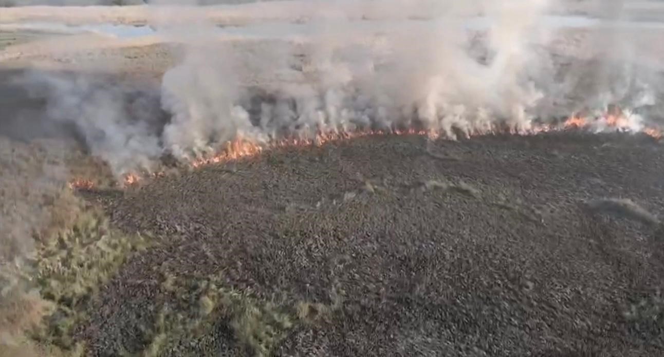 Arazide yakılan ateş yayıldı: 60 dönüm arazi zarar gördü