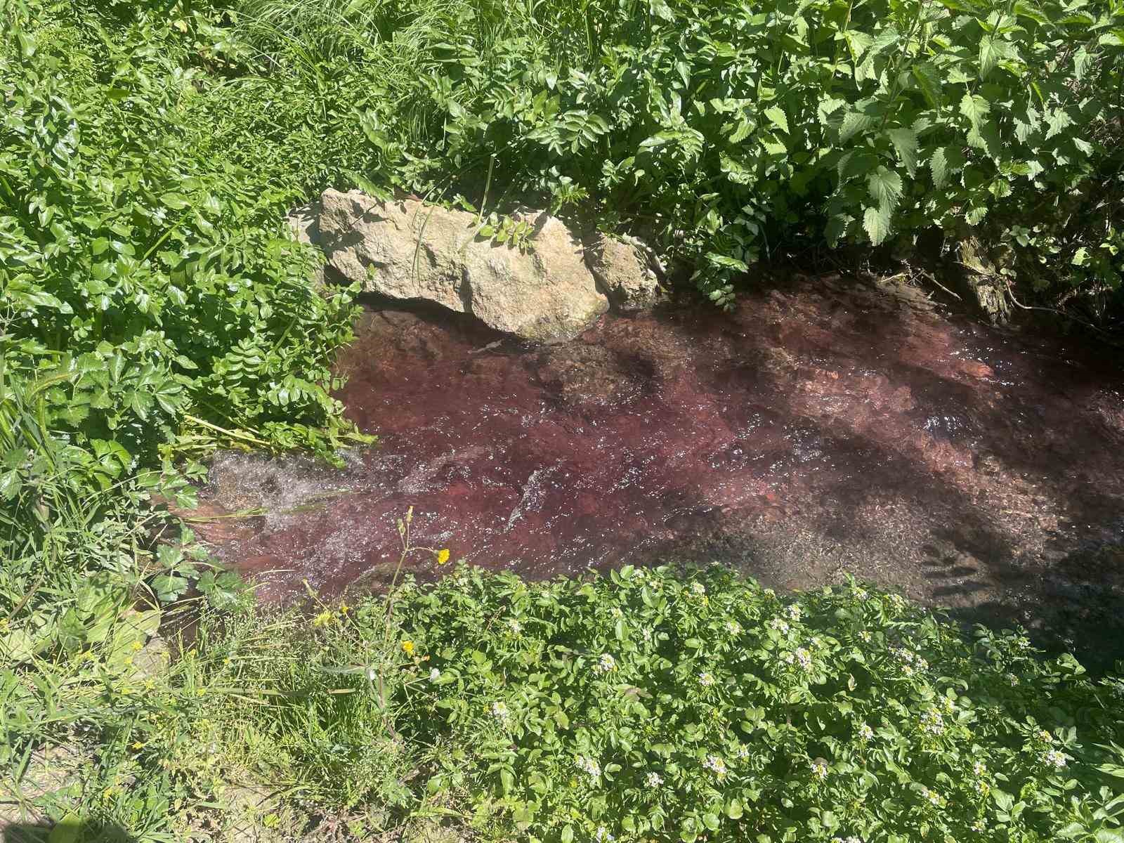 Turşu sulu renkli dereye çiftçiler de uzmanlar da tepkili
