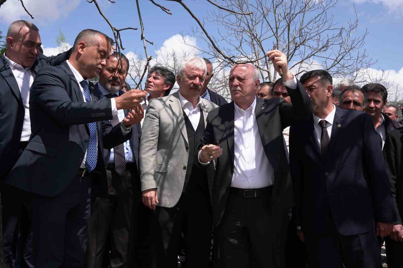 TZOB Başkanı Bayraktar, Kahramanmaraş’ta zirai dondan etkilenen bahçeleri inceledi