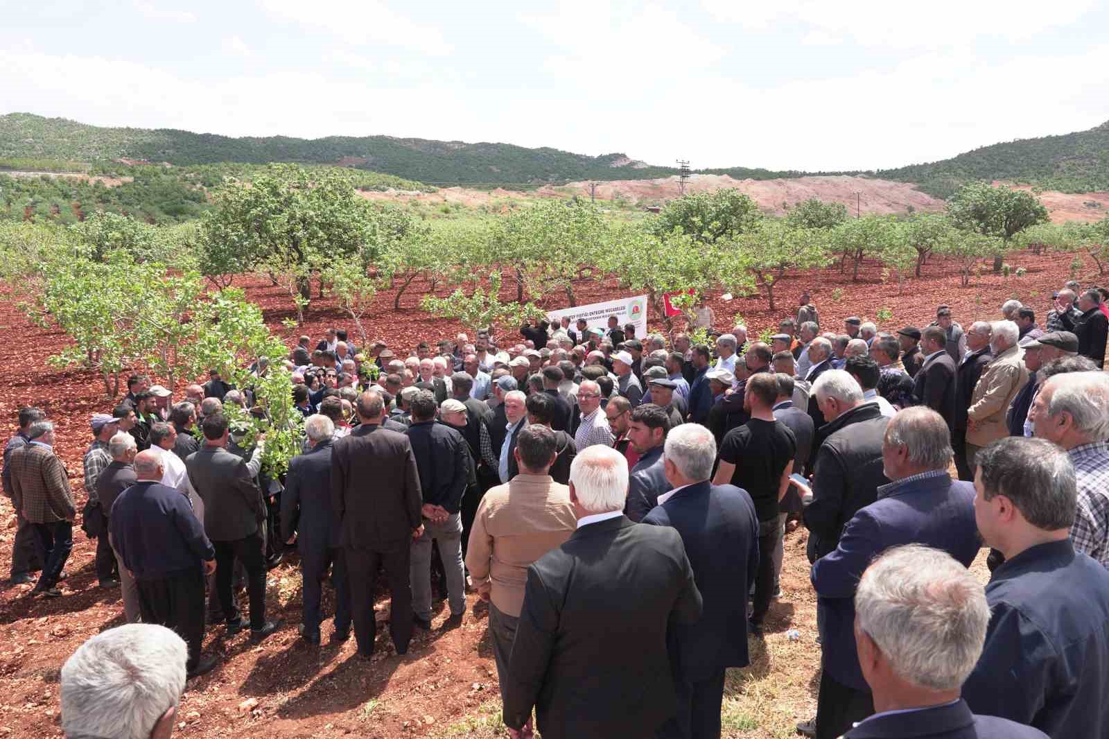TZOB Başkanı Bayraktar, Kahramanmaraş’ta zirai dondan etkilenen bahçeleri inceledi