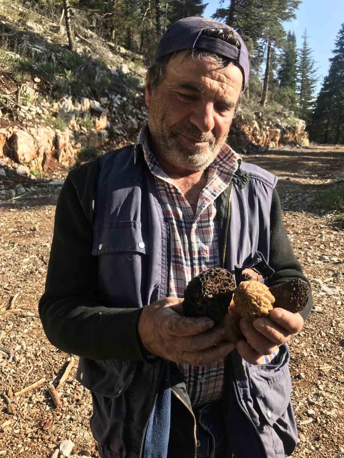 Antalya&rsquo;da &rsquo;kuzug&ouml;beği mantarı&rsquo; sezonu başladı
