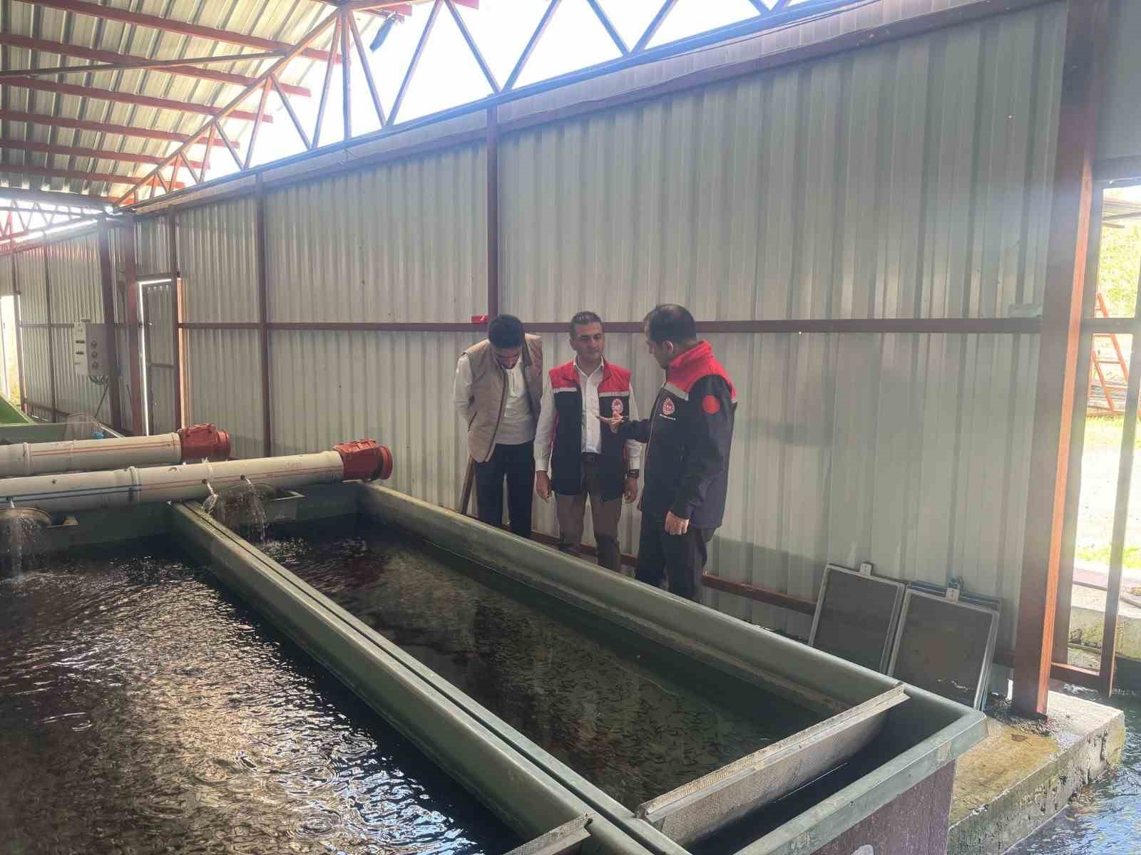 Uluköy’de yılda 15 milyon yavru üretiliyor