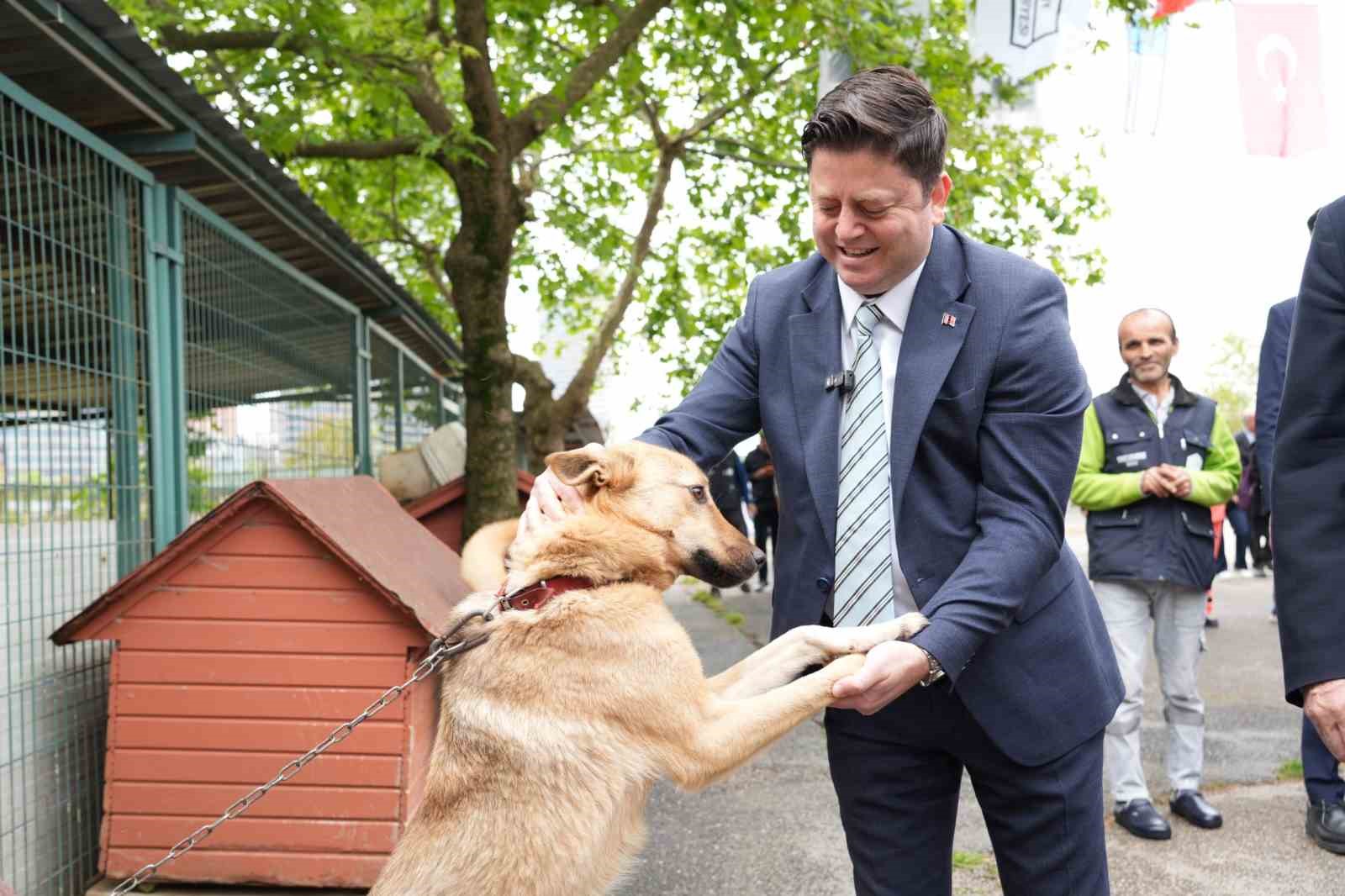 Kadık&ouml;y Belediyesi Ge&ccedil;ici Hayvan Bakımevi yenilendi
