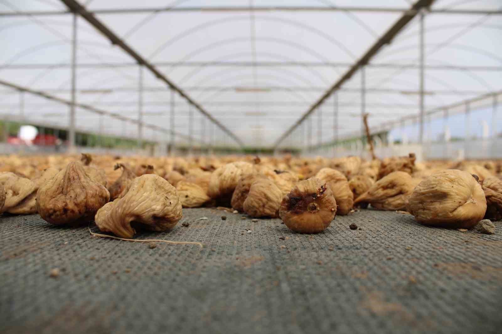 Aydın&rsquo;ın Nisan ayı ihracatı 70 milyon dolar oldu
