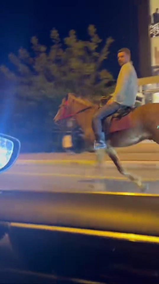 Şehrin g&ouml;beğinde d&ouml;rtnala giden atı g&ouml;ren d&ouml;n&uuml;p bir daha baktı
