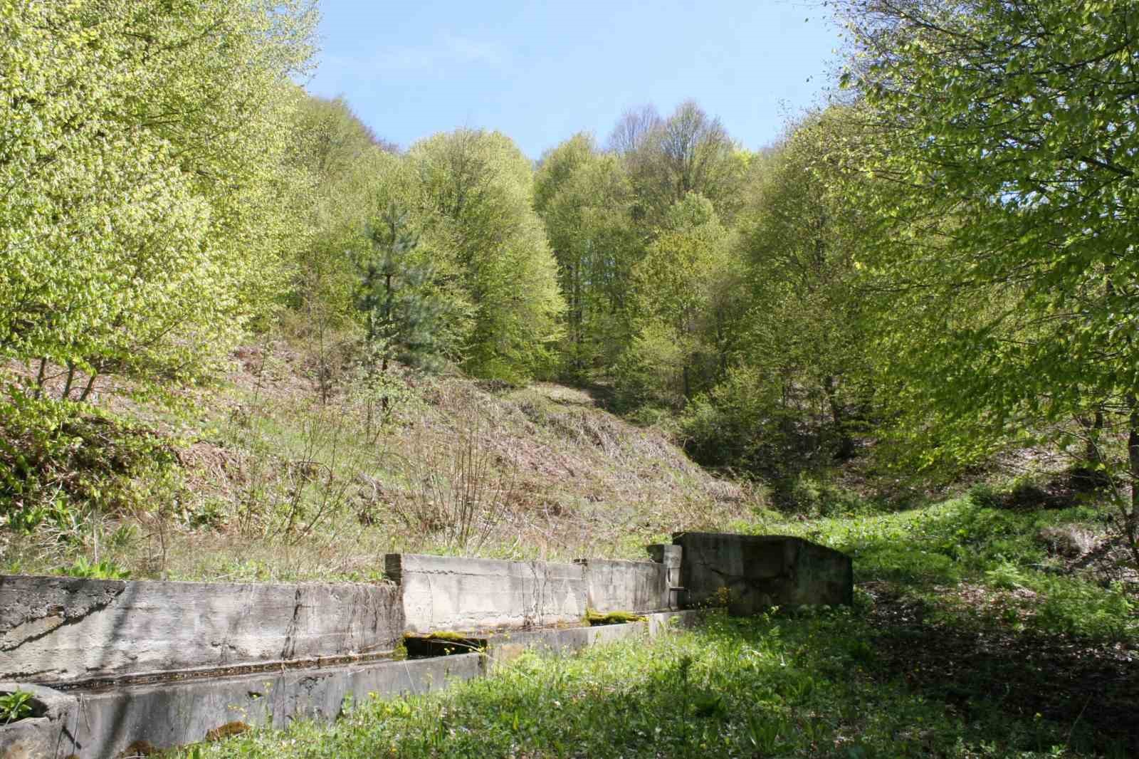 Baharın gelmesiyle doğanın güzelliği görenleri hayran bırakıyor