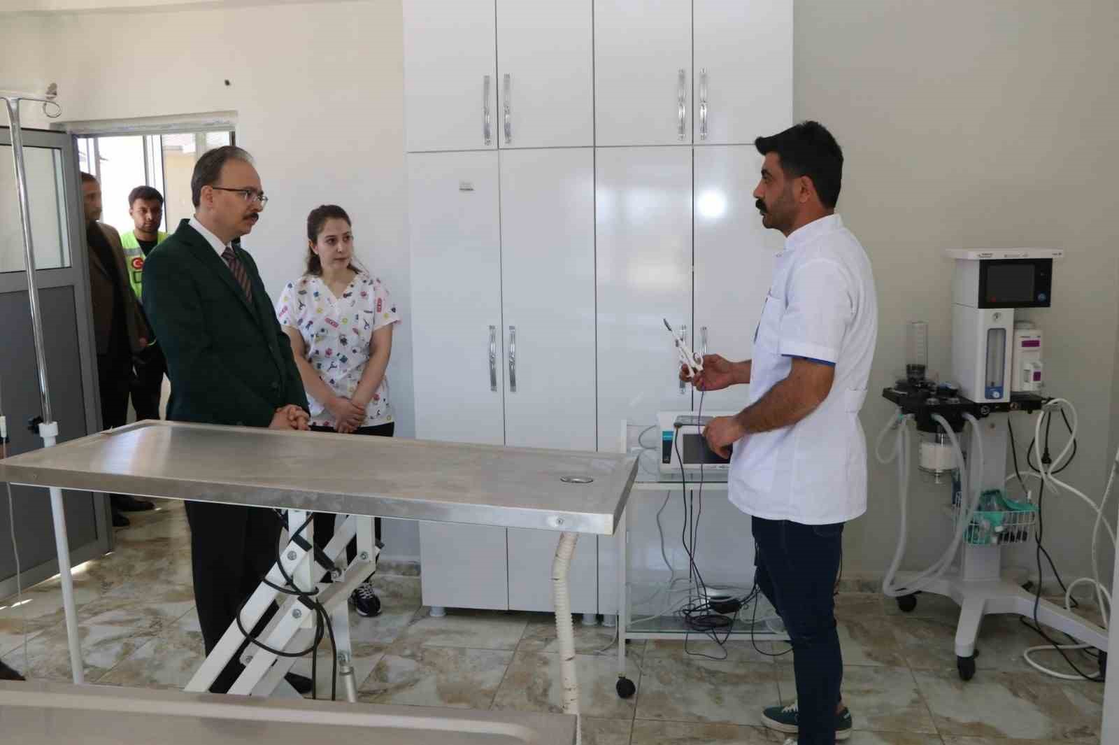 Siirt’te sahipsiz hayvanlar bu merkezde güvenli şekilde yaşamlarını sürdürüyor